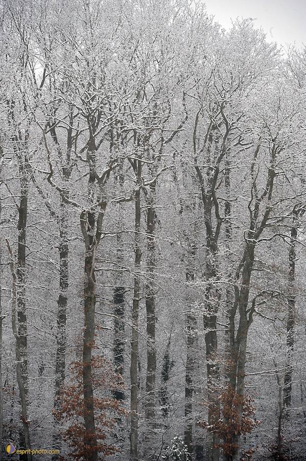 Nom de l'image : D30038053_1_(c)Norbert-JUNG — Description :